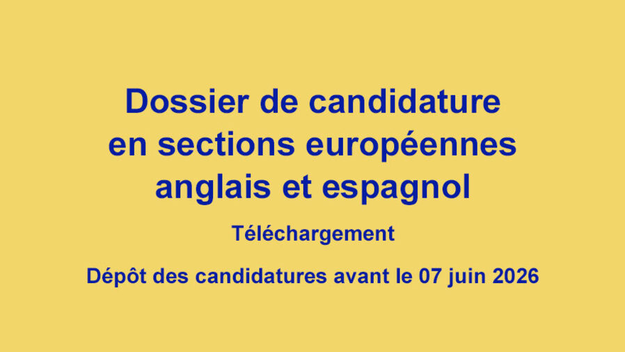 Section européenne dossier.jpg